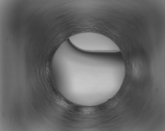 X0000060780085200511101019