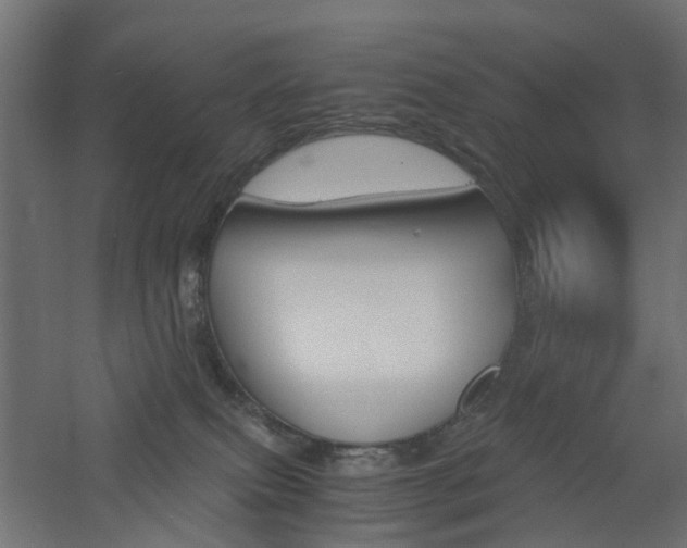 X0000060780087200511101019