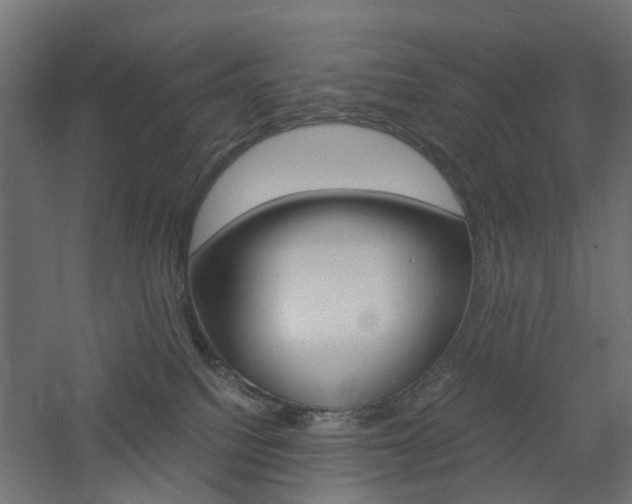 X0000060780088200511101019