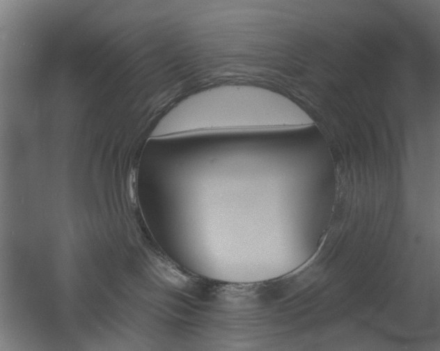 X0000060780094200511101019