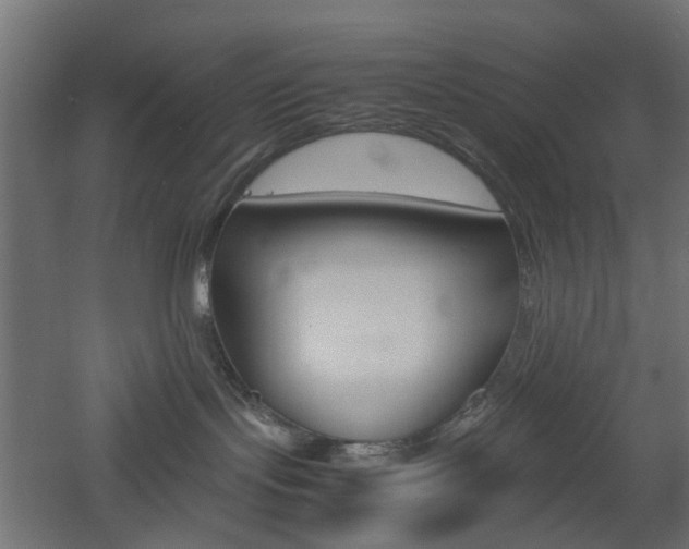 X0000060780095200511101019