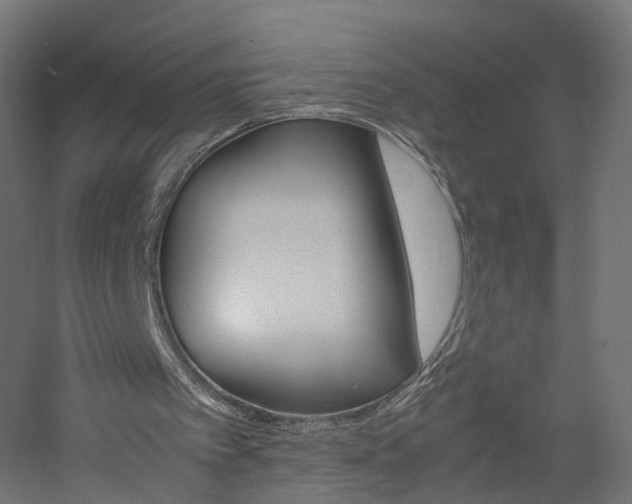 X0000060780097200511101019