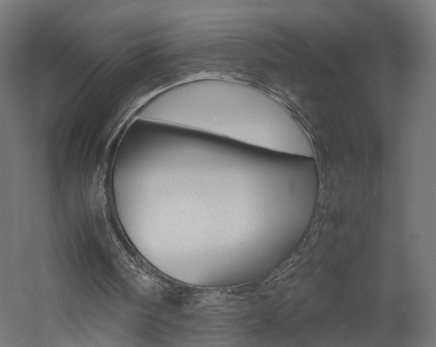 X0000060780098200511101019