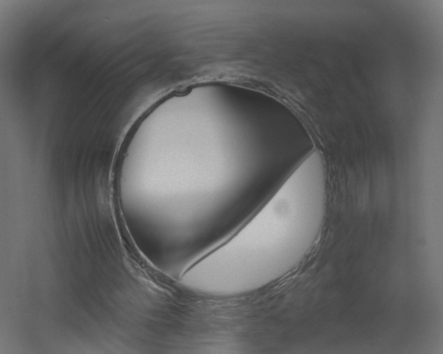 X0000060780100200511101019