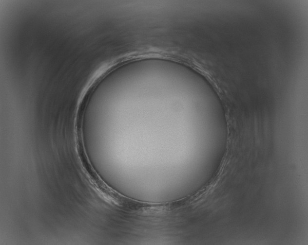 X0000060780102200511101018