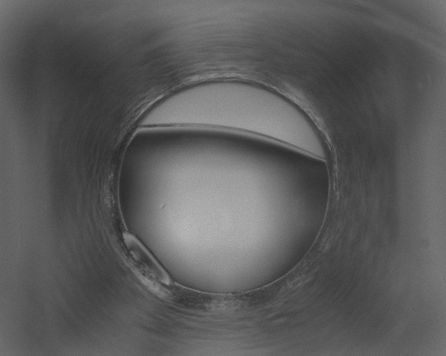 X0000060780105200511101018