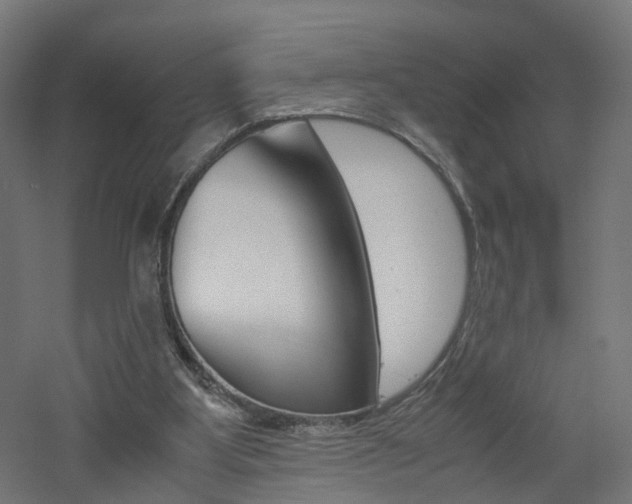 X0000060780107200511101018