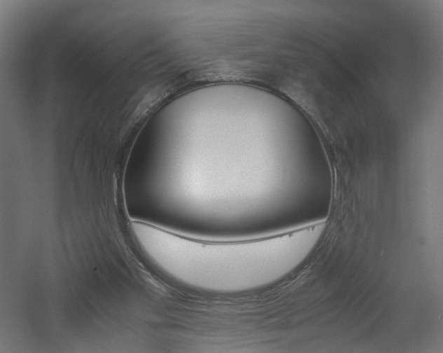X0000060780109200511101018
