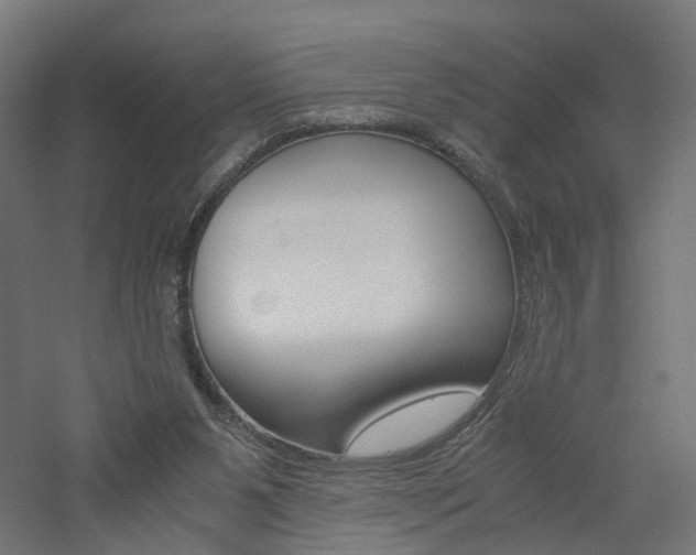 X0000060780111200511101018