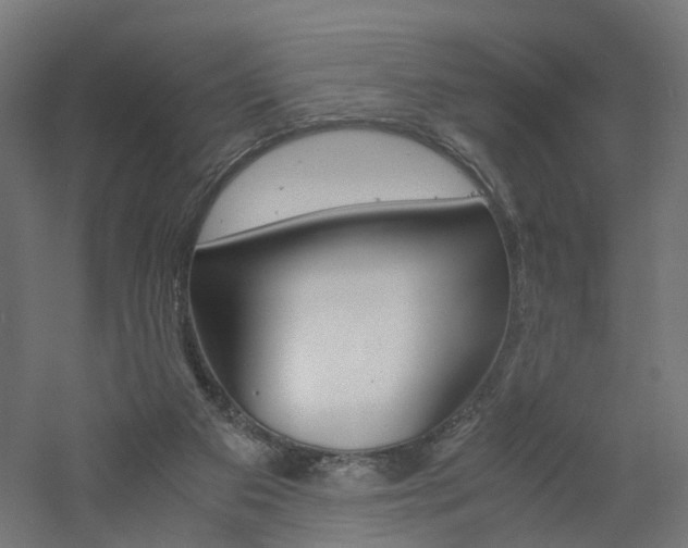 X0000060780113200511101018