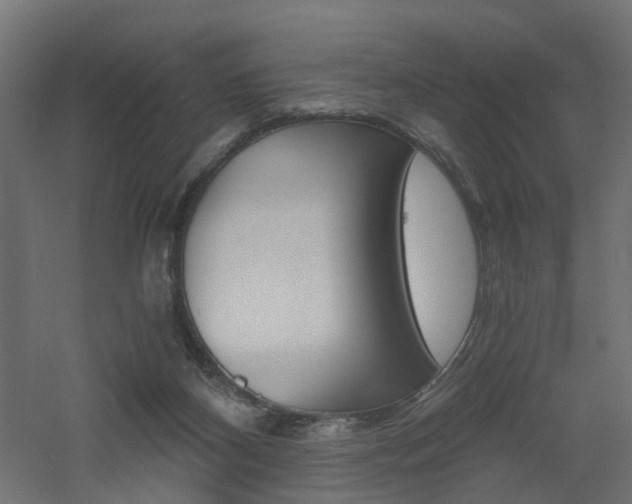 X0000060780116200511101018
