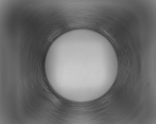 X0000060780117200511101018