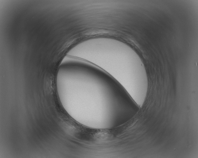 X0000060780119200511101018