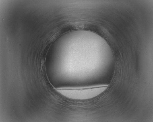 X0000060780125200511101018