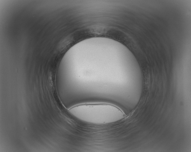 X0000060780128200511101018