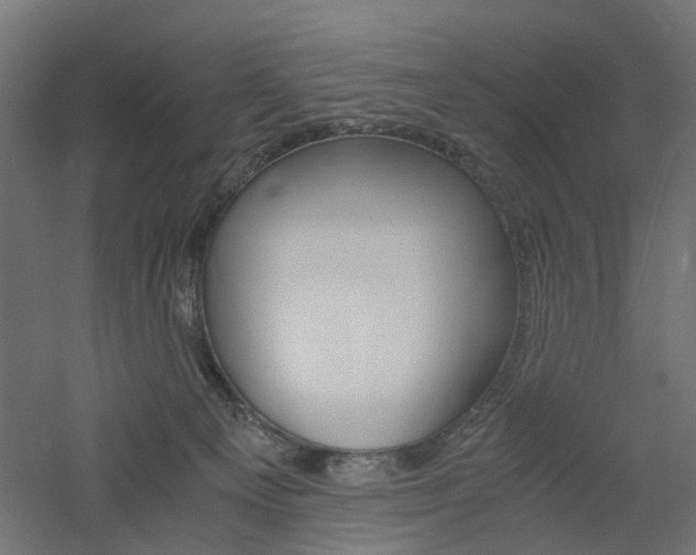 X0000060780129200511101018