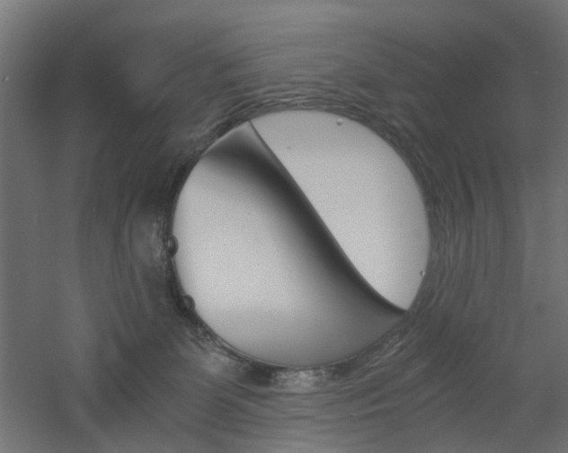 X0000060780131200511101018