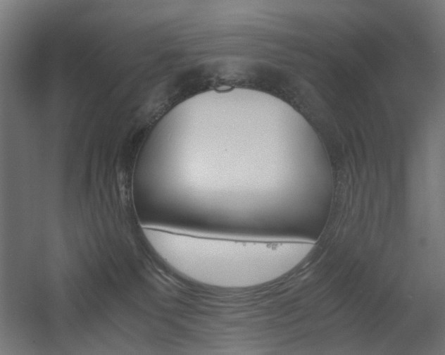 X0000060780135200511101018