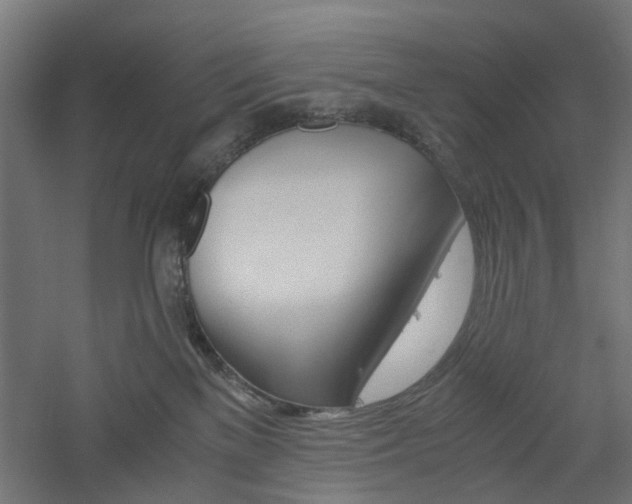 X0000060780137200511101018