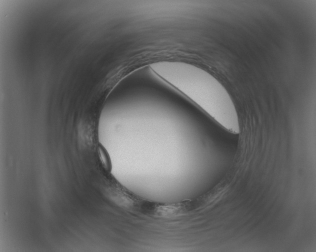 X0000060780139200511101018