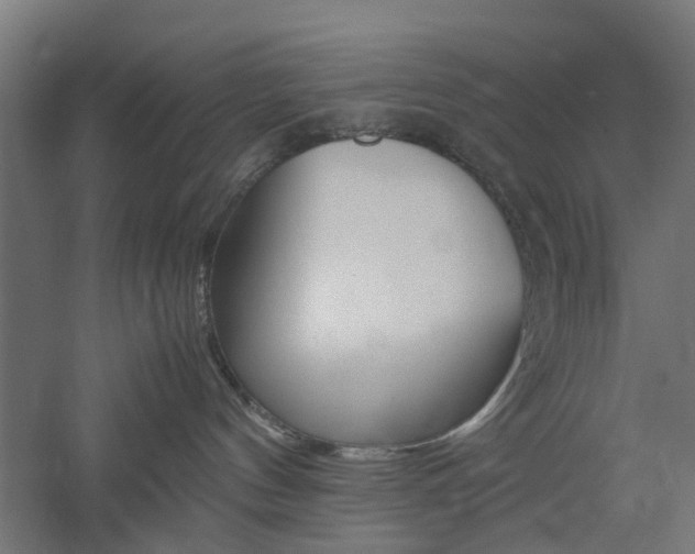 X0000060780144200511101018