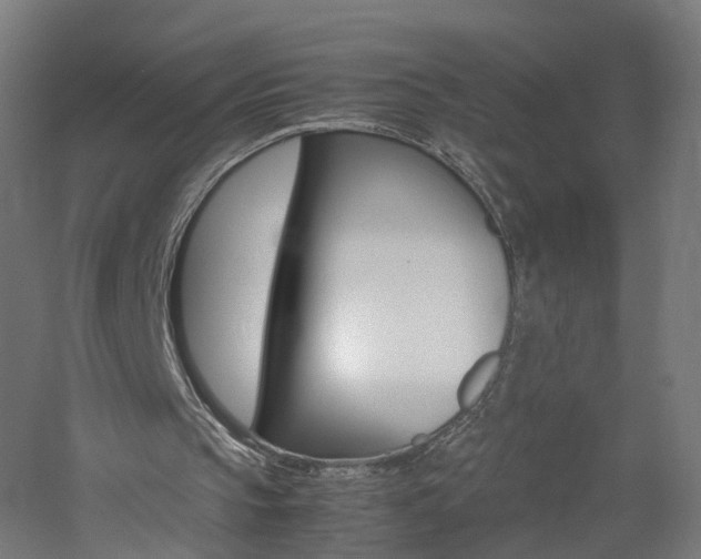 X0000060780145200511101017