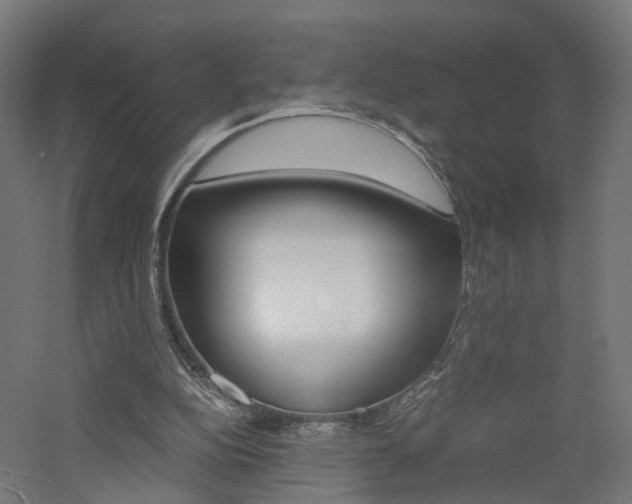 X0000060780152200511101017
