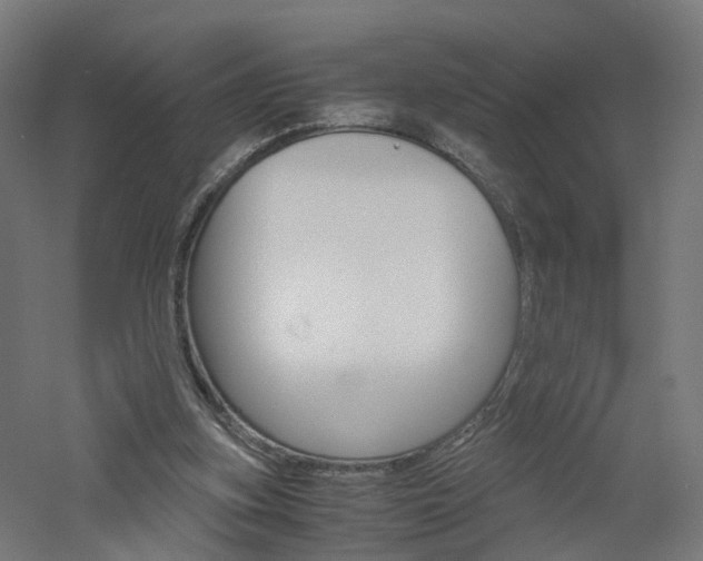 X0000060780155200511101017