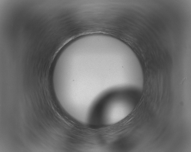 X0000060780156200511101017