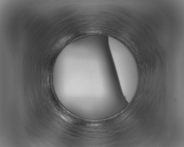 X0000060780157200511101017