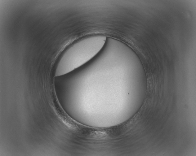 X0000060780159200511101017