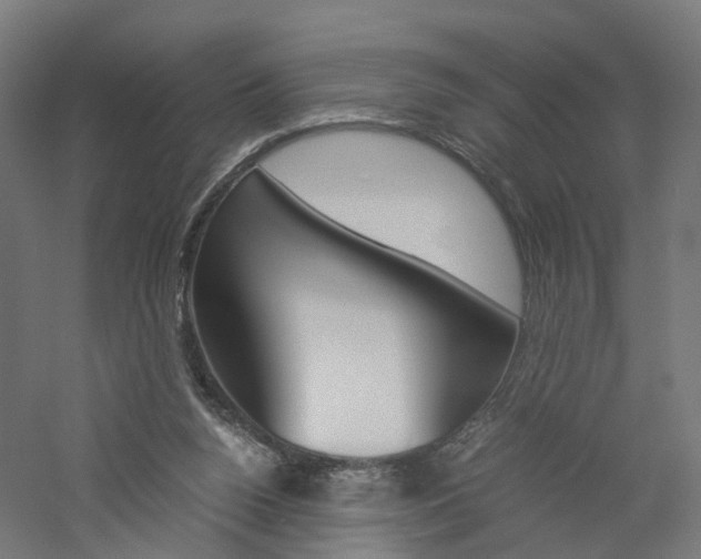 X0000060780160200511101017