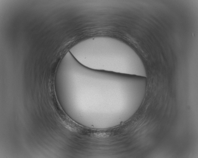 X0000060780161200511101017