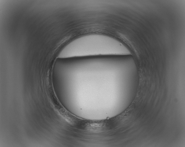 X0000060780163200511101017