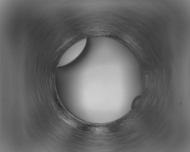 X0000060780165200511101017