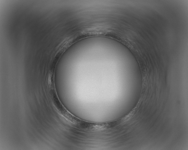 X0000060780166200511101017