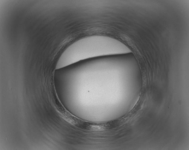 X0000060780167200511101017
