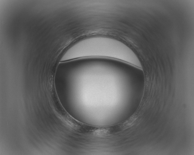X0000060780168200511101017