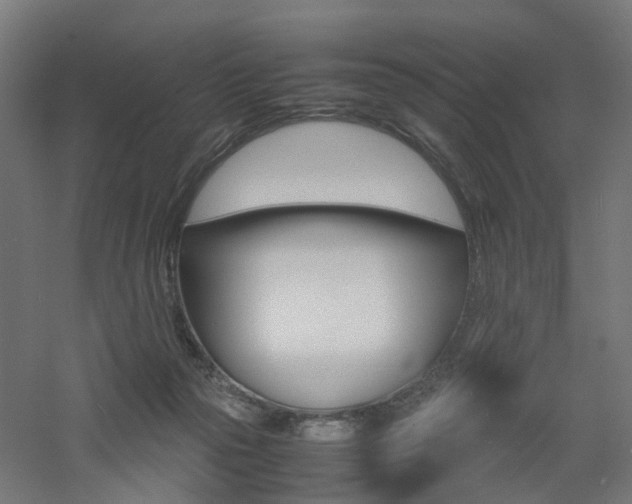 X0000060780169200511101017