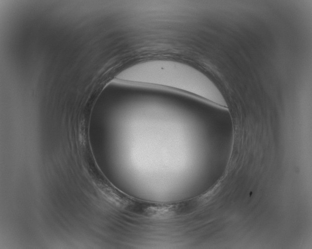 X0000060780170200511101017