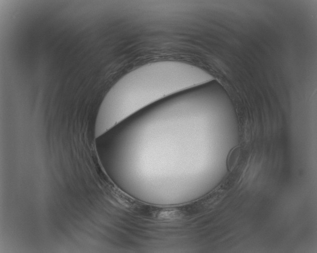 X0000060780173200511101017