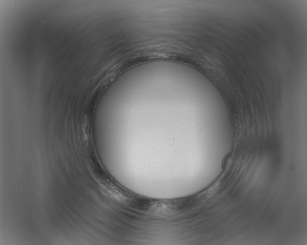 X0000060780174200511101017
