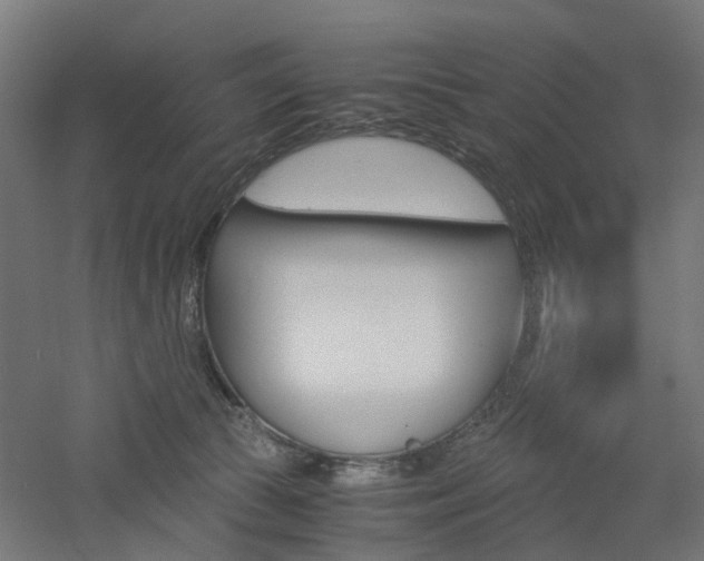 X0000060780177200511101017