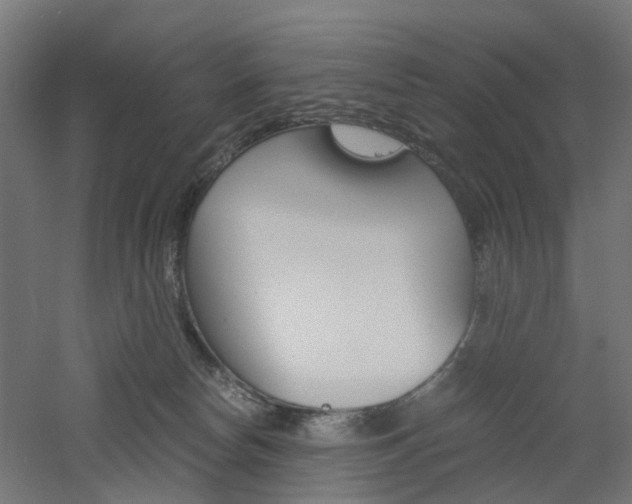 X0000060780178200511101018