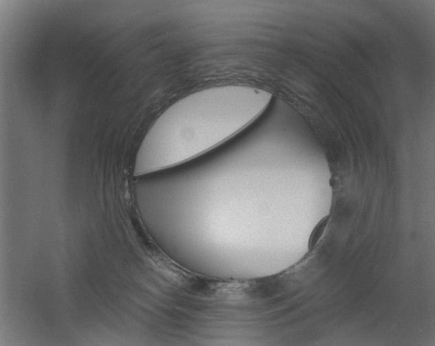 X0000060780182200511101018