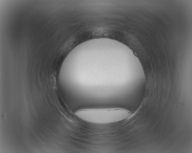 X0000060780183200511101018