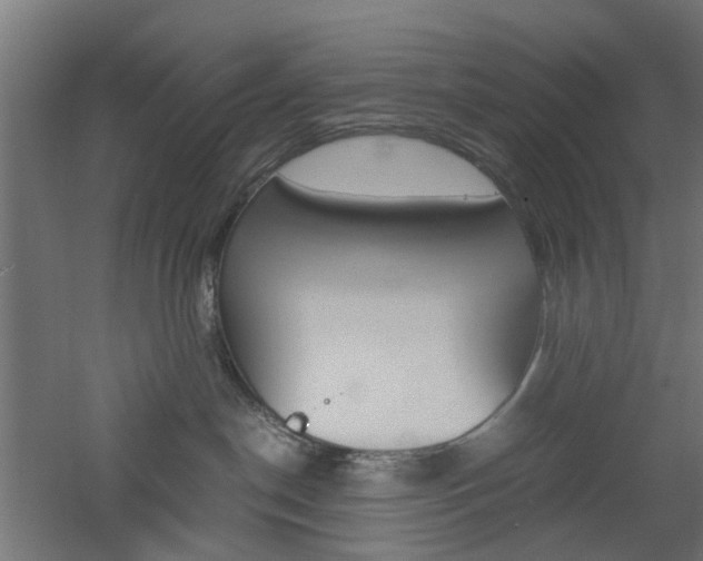 X0000060780190200511101018