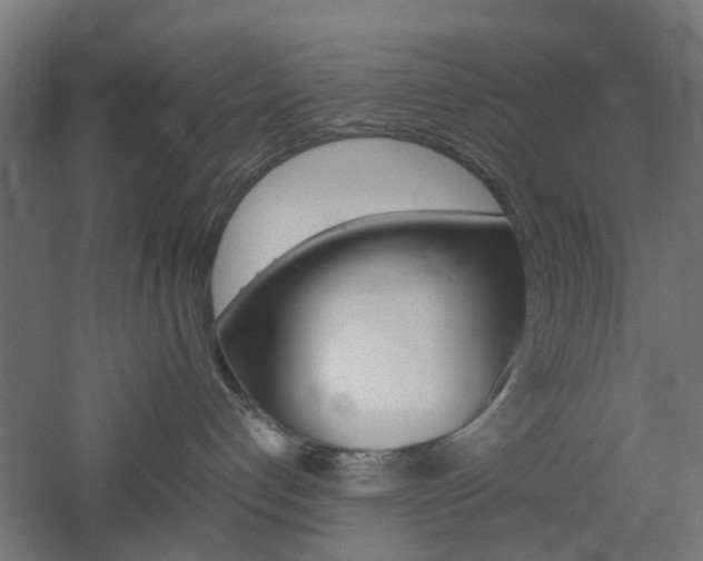 X0000060780192200511101018