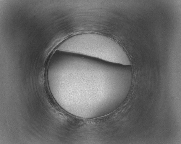 X0000060780194200511101017