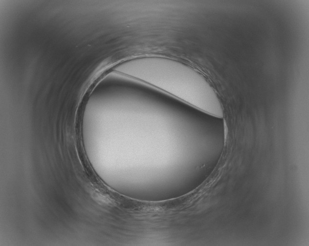 X0000060780195200511101017